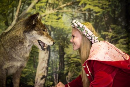 Grimmheimat NordHessen - Reinhardswald - Doernröschen und der Wolf