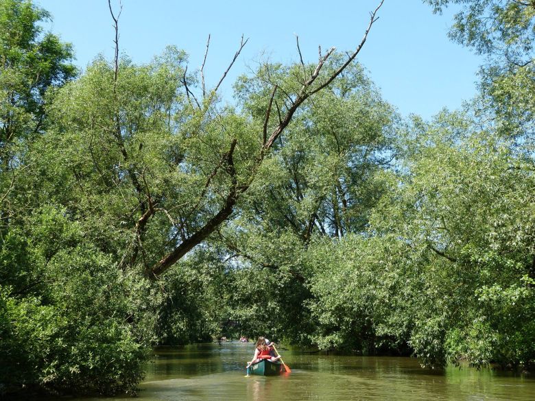 Kanufahren auf der Diemel